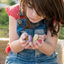 Grapat Toys Wooden Insects - 18 Pieces 13 Grapat Toys Wooden Insects - 18 Pieces