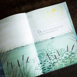Books Books & More Kate Messner - Over And Under The Pond