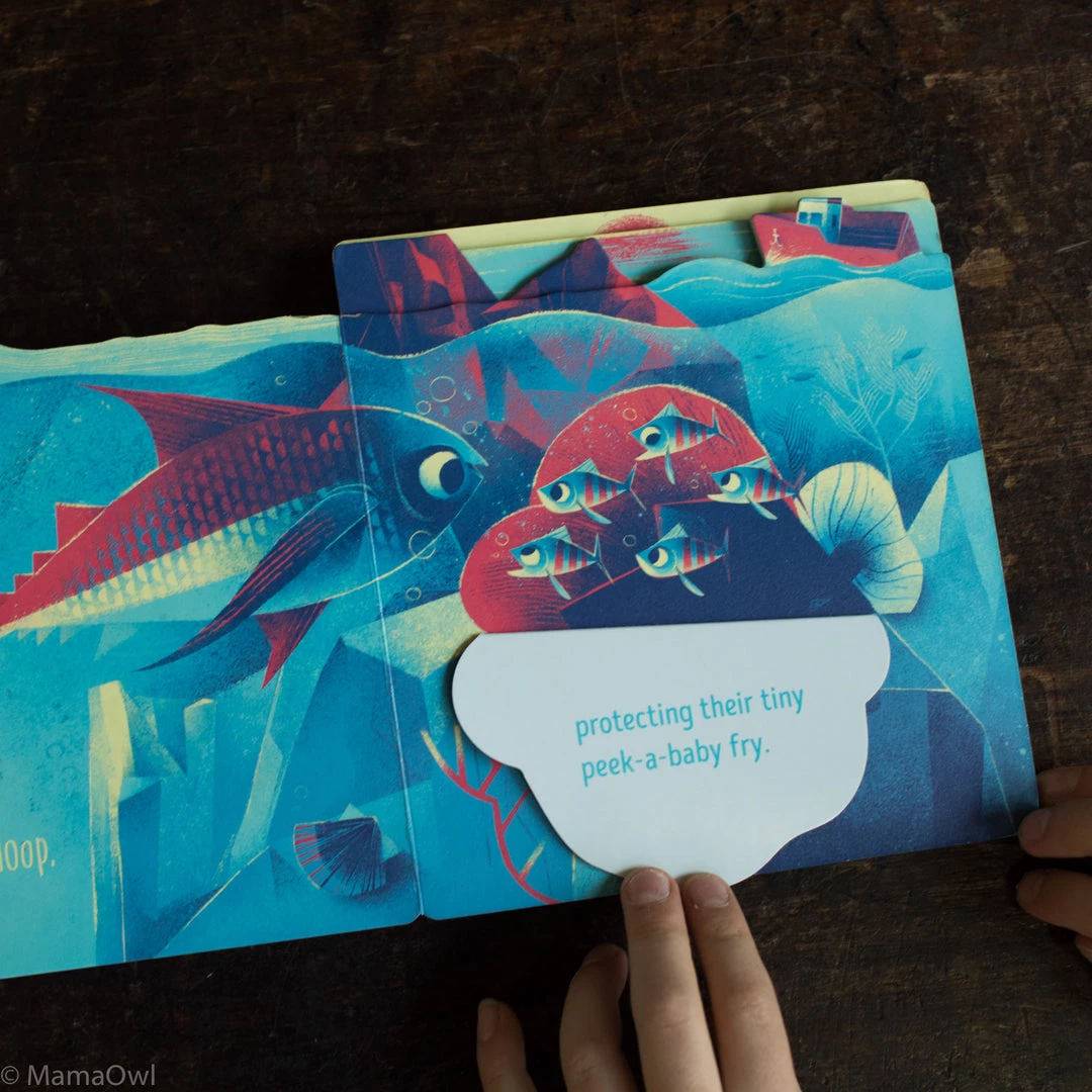 Books Mike Orodan - Peek-A-Baby: Ocean Books & More 4 Books Mike Orodan - Peek-A-Baby: Ocean Books & More