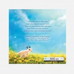 Books Books & More Dawn Casey - Spin A Scarf Of Sunshine