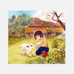 Books Books & More Dawn Casey - Spin A Scarf Of Sunshine