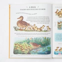 Books Books & More Rachel Williams & Freya Hartas - Slow Down