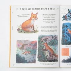 Books Books & More Rachel Williams & Freya Hartas - Slow Down