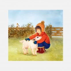 Books Books & More Dawn Casey - Spin A Scarf Of Sunshine