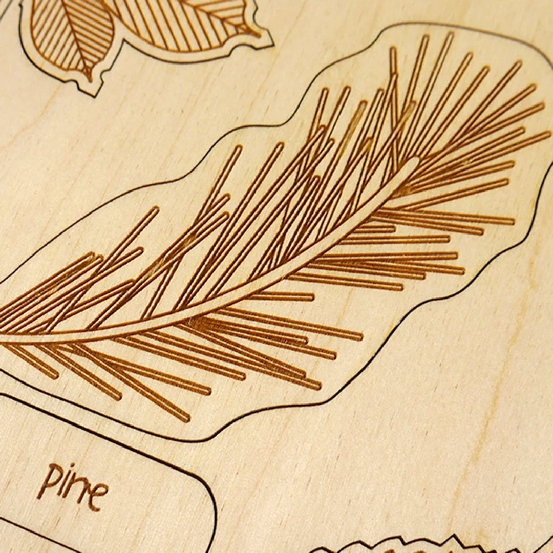 Puzzles Wooden Puzzle - What Have Fallen From The Tree Toys 12 Puzzles Wooden Puzzle - What Have Fallen From The Tree Toys