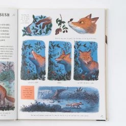 Books Books & More Rachel Williams & Freya Hartas - Slow Down