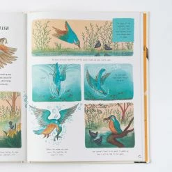 Books Books & More Rachel Williams & Freya Hartas - Slow Down