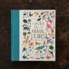 Books A World Full Of Animals Stories - 50 Folktales And Legends Books & More