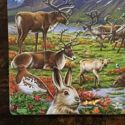 Stjernespill Thick Cardboard Puzzle 50 Pieces - Wildlife Of The Arctic Inland