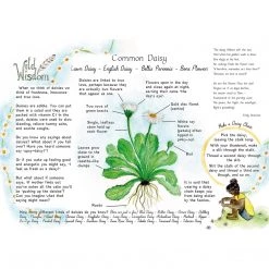 A Year And A Day Magazine - Issue No 10 - Sun Books & More