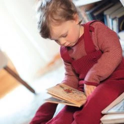 Disana Organic Merino Wool Baby Dungarees - Bordeaux Baby Wool