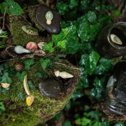 Grapat Wooden Wild Creatures - 12 Pieces