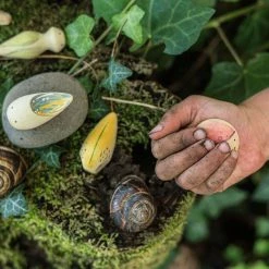 Grapat Wooden Wild Creatures - 12 Pieces