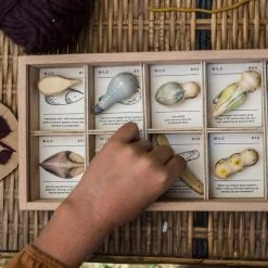 Grapat Wooden Wild Creatures - 12 Pieces