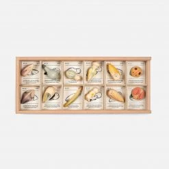 Grapat Wooden Wild Creatures - 12 Pieces