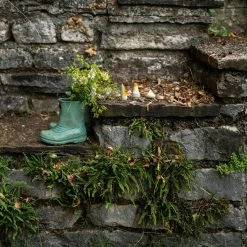 Grapat Toys Wooden Hooray Figures - 3 Pieces