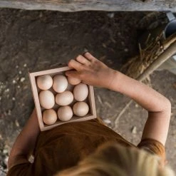Grapat Toys Wooden Storage Box