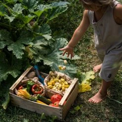 Grapat Wooden Tulips Mandala - 36 Pieces Toys