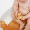 HEVEA Natural Rubber Duck - Alfie Toys 2 HEVEA Natural Rubber Duck - Alfie Toys