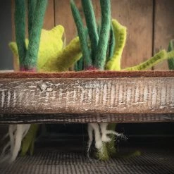 Papoose Toys Felted Wool Grow A Garden - Set Of 16