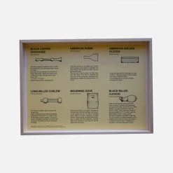 Quelle Est Belle Handmade Wood Bird Callers - North American Birds - Set Of 6 Toys