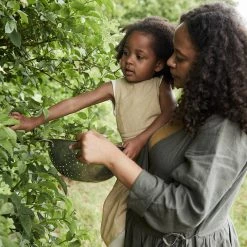 Matona Women's Linen Tilla Wrap Dress - Pine SALE 33 Matona Women's Linen Tilla Wrap Dress - Pine SALE