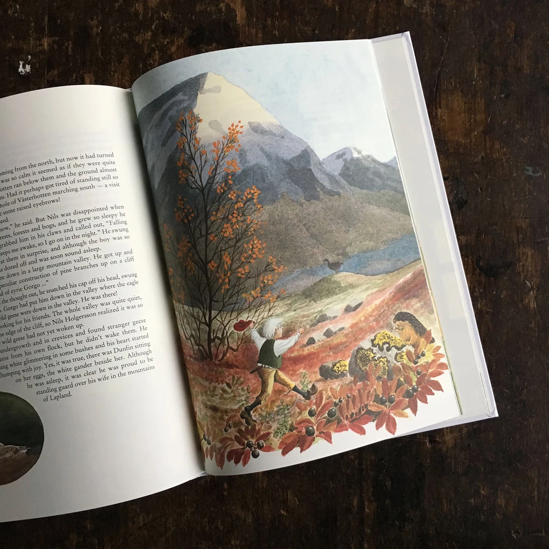 Books Selma Lagerlof - The Wonderful Adventures Of Nils 5 Books Selma Lagerlof - The Wonderful Adventures Of Nils