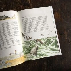 Books Selma Lagerlof - The Wonderful Adventures Of Nils