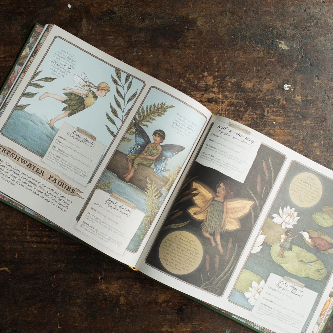 Books Books & More Emily Hawkins - A Natural History Of Fairies 4 Books Books & More Emily Hawkins - A Natural History Of Fairies