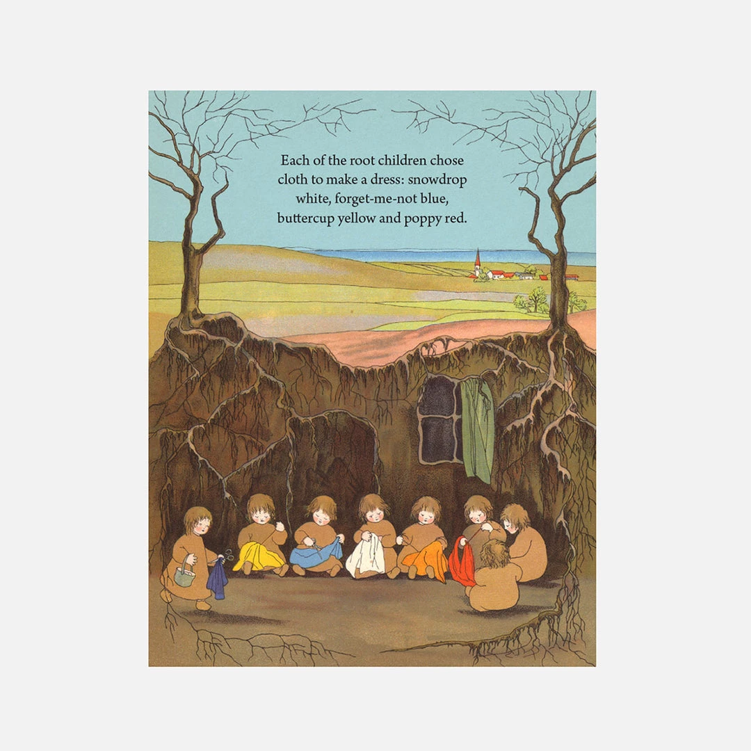 Books Sibylle Von Olfers - My First Root Children Board Book
