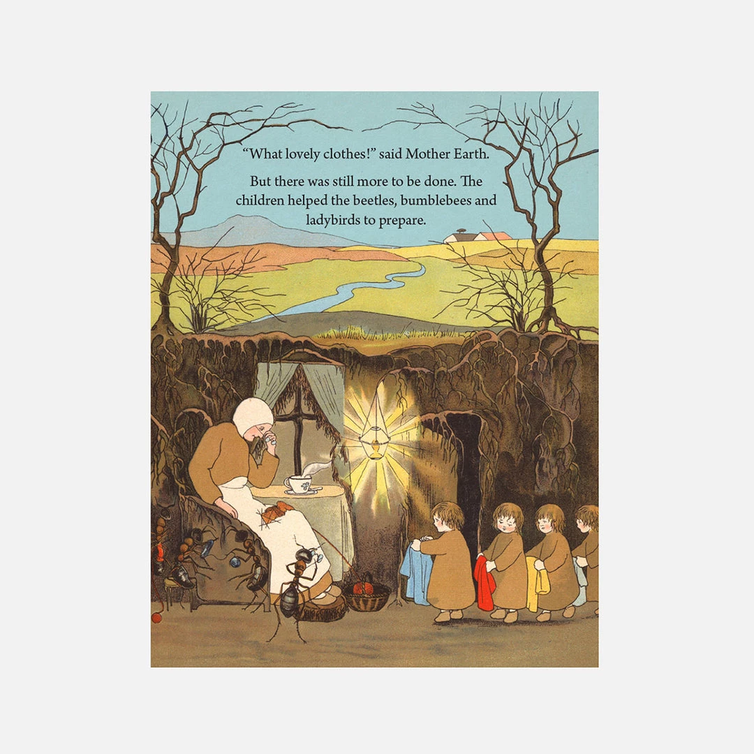 Books Sibylle Von Olfers - My First Root Children Board Book