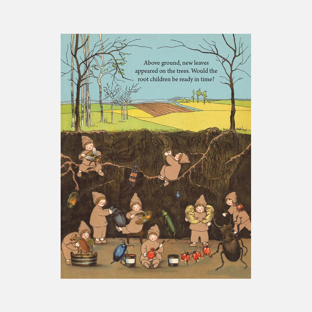 Books Sibylle Von Olfers - My First Root Children Board Book