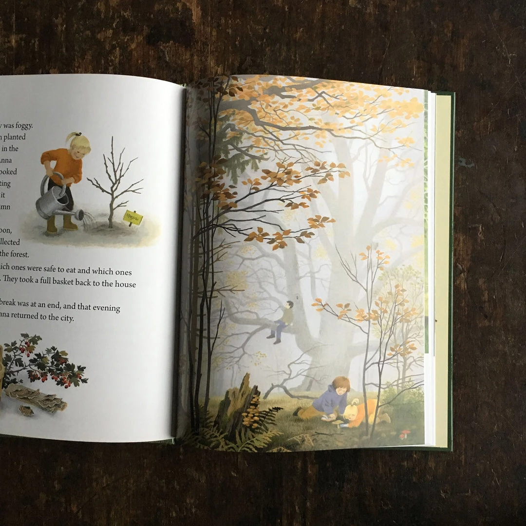 Books Books & More Gerda Muller - A Year Around The Great Oak 5 Books Books & More Gerda Muller - A Year Around The Great Oak