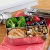 LunchBots Home & Baby Care Stainless Steel Medium Quad Bento Lunch Box