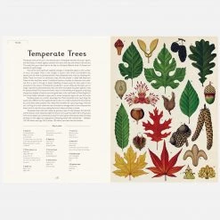 Books Kathy Willis - Botanicum 12 Books Kathy Willis - Botanicum