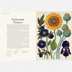 Books Kathy Willis - Botanicum 13 Books Kathy Willis - Botanicum