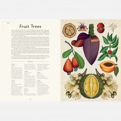 Books Kathy Willis - Botanicum 15 Books Kathy Willis - Botanicum